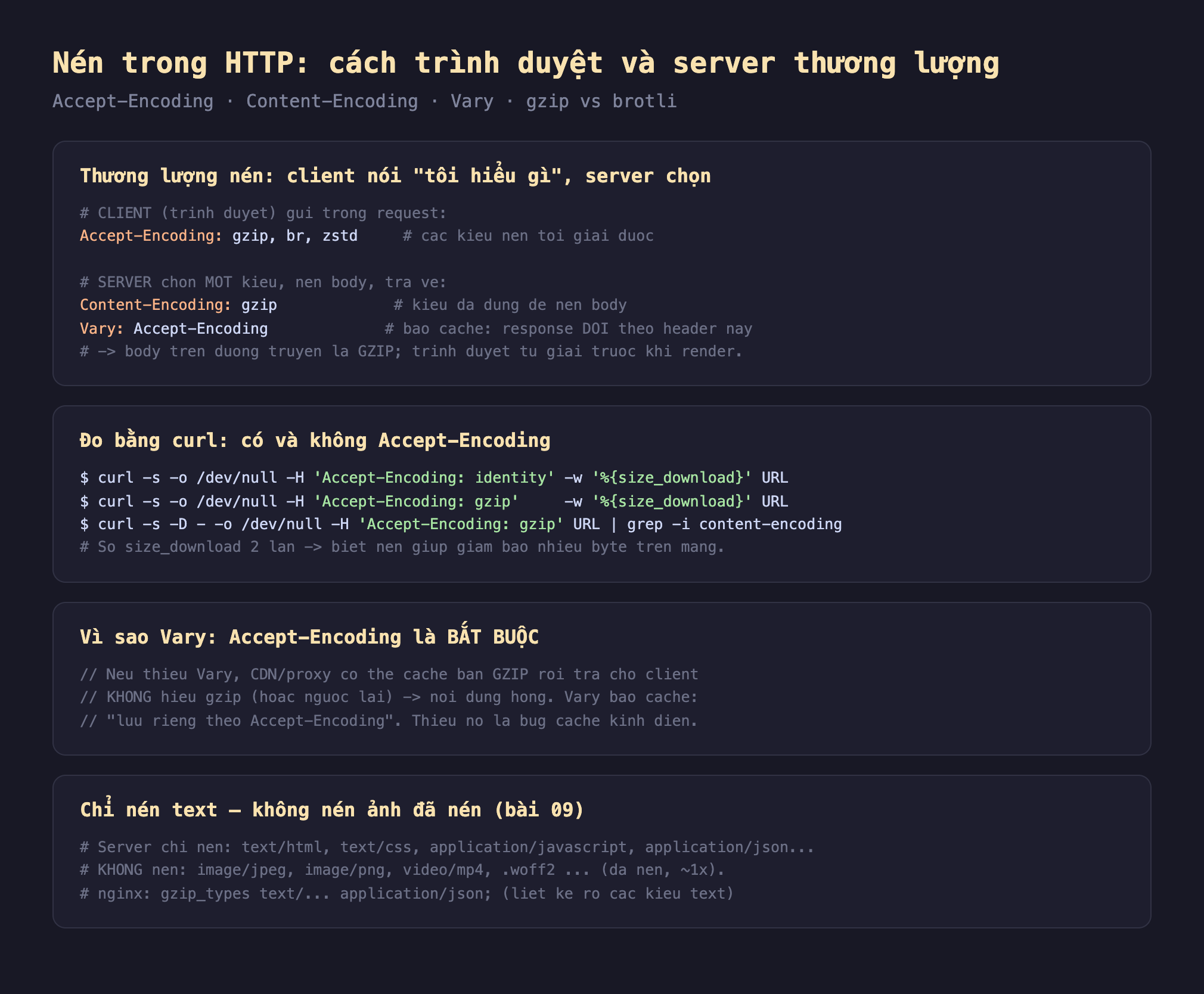 Ảnh chụp đoạn mã nền tối minh hoạ nén trong HTTP cách trình duyệt và server thương lượng Accept-Encoding Content-Encoding Vary gzip vs brotli, thương lượng nén client nói tôi hiểu gì server chọn client trình duyệt gửi trong request Accept-Encoding gzip br zstd các kiểu nén tôi giải được server chọn một kiểu nén body trả về Content-Encoding gzip kiểu đã dùng để nén body Vary Accept-Encoding báo cache response đổi theo header này body trên đường truyền là gzip trình duyệt tự giải trước khi render, đo bằng curl có và không Accept-Encoding curl size_download với identity với gzip curl -D header grep content-encoding so size_download 2 lần biết nén giúp giảm bao nhiêu byte trên mạng, vì sao Vary Accept-Encoding là bắt buộc nếu thiếu Vary CDN proxy có thể cache bản gzip rồi trả cho client không hiểu gzip nội dung hỏng Vary báo cache lưu riêng theo Accept-Encoding thiếu nó là bug cache kinh điển, chỉ nén text không nén ảnh đã nén bài 09 server chỉ nén text html text css application javascript application json không nén image jpeg image png video mp4 woff2 đã nén khoảng 1x nginx gzip_types liệt kê rõ các kiểu text