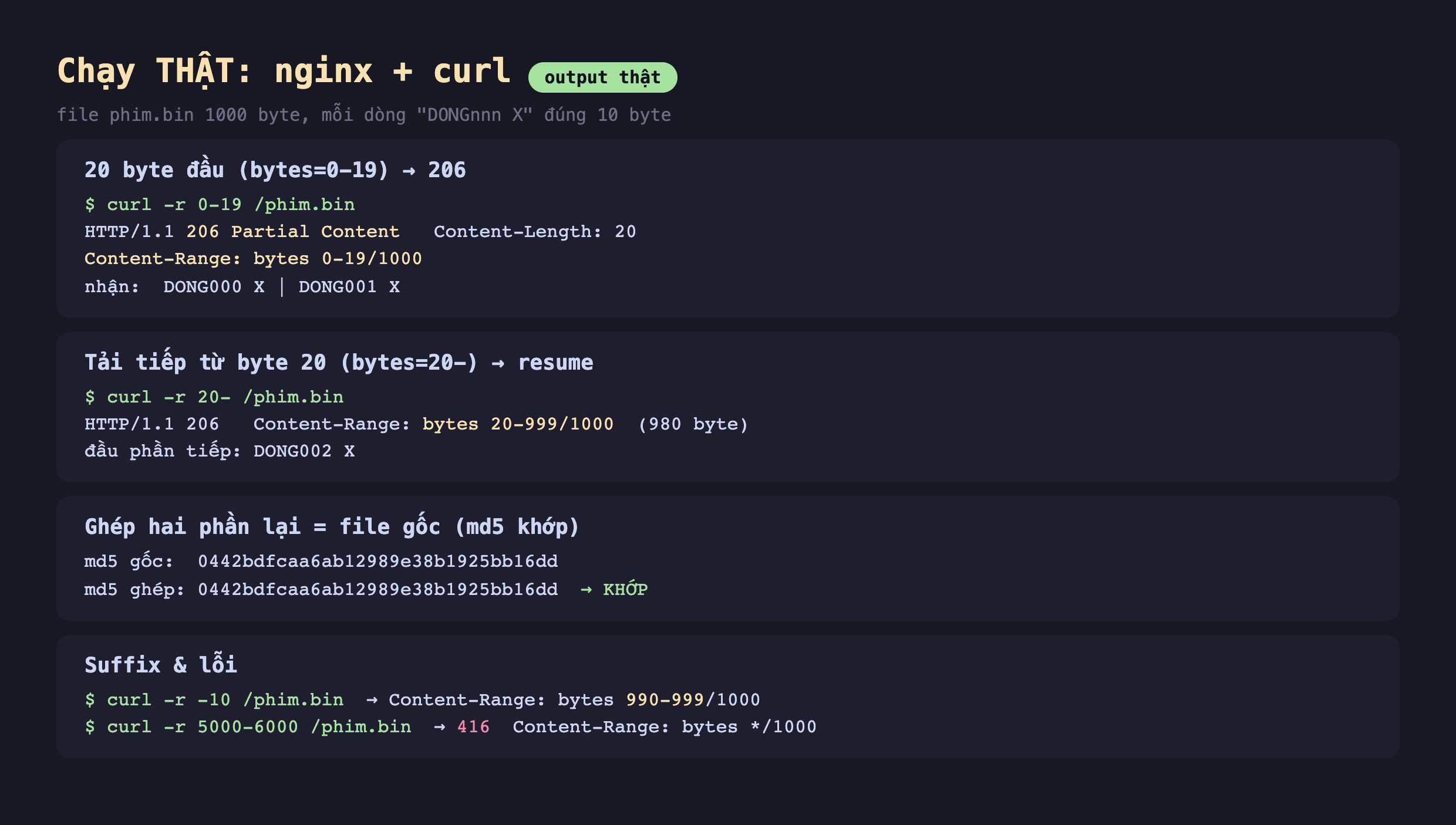 Ảnh chụp bảng kết quả chạy thật nginx cộng curl output thật file phim.bin 1000 byte mỗi dòng DONGnnn X đúng 10 byte, 20 byte đầu bytes 0-19 trả 206 curl -r 0-19 phim.bin HTTP 206 Partial Content Content-Length 20 Content-Range bytes 0-19 trên 1000 nhận DONG000 X DONG001 X, tải tiếp từ byte 20 bytes 20- resume curl -r 20- phim.bin HTTP 206 Content-Range bytes 20-999 trên 1000 980 byte đầu phần tiếp DONG002 X, ghép hai phần lại bằng file gốc md5 khớp md5 gốc 0442bdfcaa md5 ghép 0442bdfcaa khớp, suffix và lỗi curl -r -10 phim.bin Content-Range bytes 990-999 trên 1000 curl -r 5000-6000 phim.bin 416 Content-Range bytes sao trên 1000