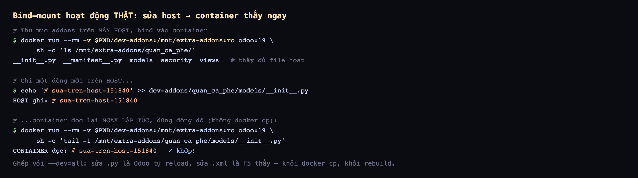 Bằng chứng bind-mount hoạt động thật: chạy docker run với volume bind thư mục dev-addons trên host vào mnt extra-addons chế độ chỉ đọc, lệnh ls liệt kê thư mục quan_ca_phe trong container thấy đủ các file init.py manifest.py models security views đúng như trên host; sau đó ghi một dòng đánh dấu sua-tren-host-151840 vào file models init.py trên host, rồi chạy lại container đọc dòng cuối của chính file đó và nhận đúng dòng sua-tren-host-151840 khớp hoàn toàn, chứng minh sửa trên host phản ánh ngay trong container không cần docker cp