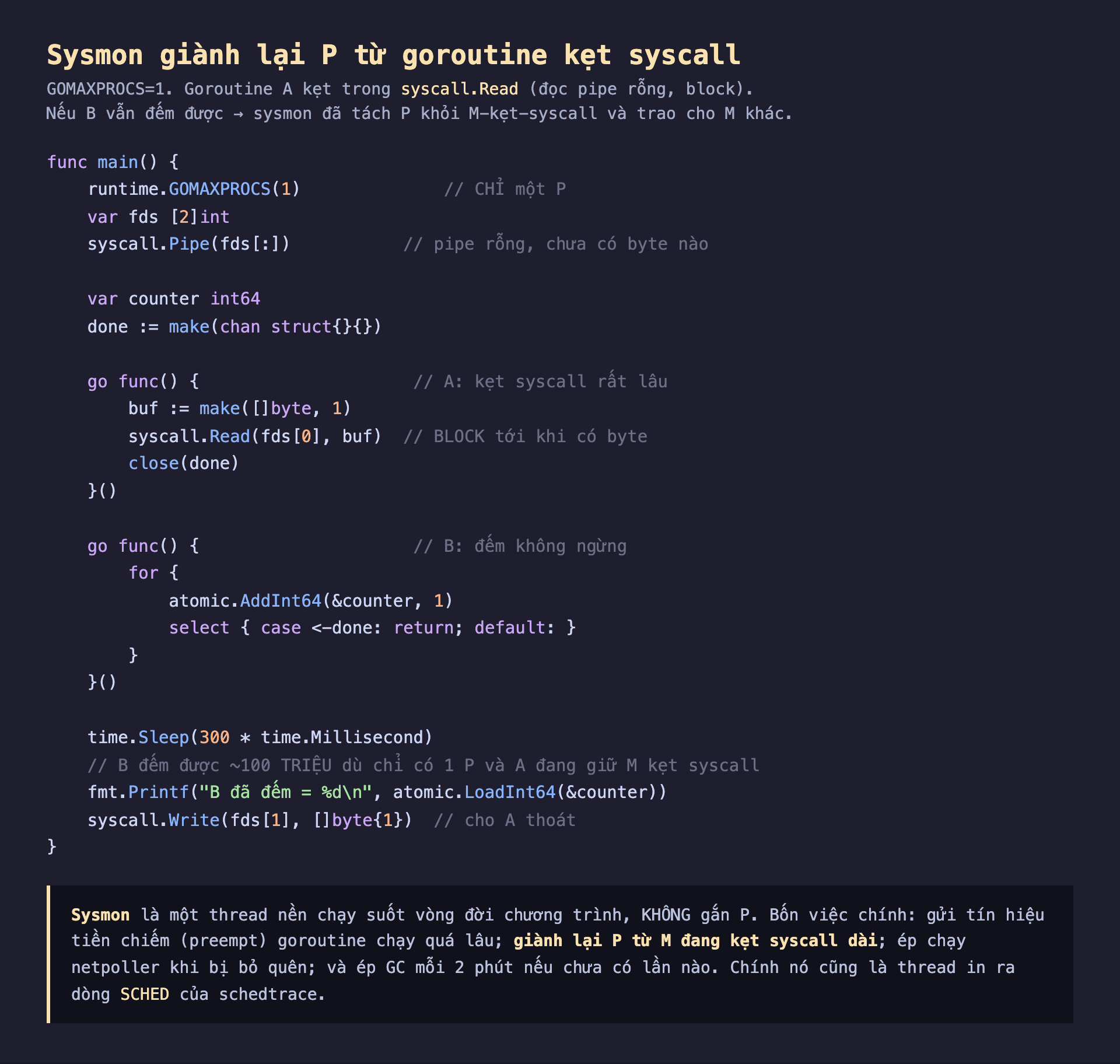 Ảnh chụp đoạn mã Go nền tối minh hoạ sysmon giành lại P từ goroutine kẹt syscall, GOMAXPROCS bằng 1 chỉ một P, goroutine A kẹt trong syscall Read đọc pipe rỗng block, goroutine B đếm không ngừng bằng atomic AddInt64, nếu B vẫn đếm được nghĩa là sysmon đã tách P khỏi M kẹt syscall và trao cho M khác chạy B, main tạo pipe rỗng chưa có byte nào sleep 300ms rồi in counter khoảng 100 triệu rồi Write một byte cho A thoát, sysmon là thread nền chạy suốt vòng đời không gắn P bốn việc gửi tín hiệu tiền chiếm goroutine chạy quá lâu giành lại P từ M kẹt syscall dài ép chạy netpoller ép GC mỗi 2 phút và in dòng SCHED của schedtrace