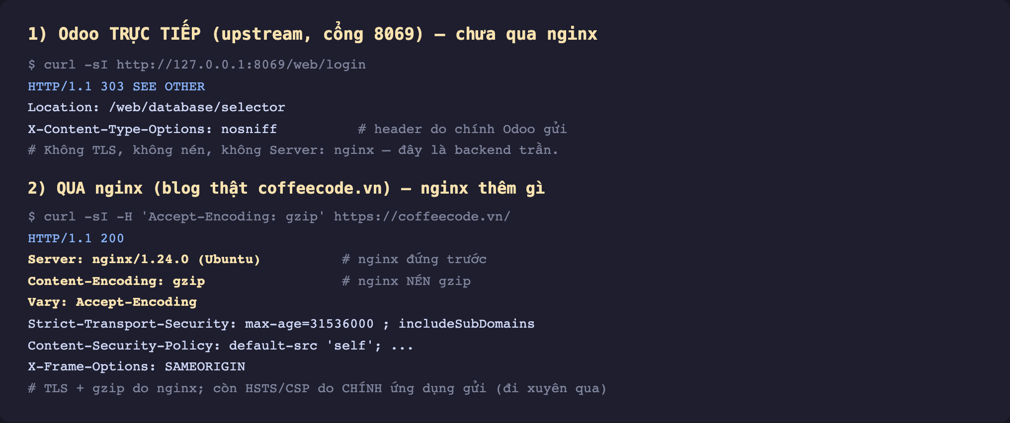 Ảnh chụp terminal nền tối hai phần so header thật. Phần 1 Odoo trực tiếp upstream cổng 8069 chưa qua nginx. Lệnh curl sI http 127.0.0.1 8069 web login. Kết quả HTTP 1.1 303 SEE OTHER, Location web database selector, X-Content-Type-Options nosniff chú thích header do chính Odoo gửi. Chú thích không TLS không nén không Server nginx đây là backend trần. Phần 2 qua nginx blog thật coffeecode.vn nginx thêm gì. Lệnh curl sI H Accept-Encoding gzip https coffeecode.vn. Kết quả HTTP 1.1 200, Server nginx 1.24.0 Ubuntu chú thích nginx đứng trước, Content-Encoding gzip chú thích nginx nén gzip, Vary Accept-Encoding, Strict-Transport-Security max-age 31536000 includeSubDomains, Content-Security-Policy default-src self, X-Frame-Options SAMEORIGIN. Chú thích TLS và gzip do nginx còn HSTS CSP do chính ứng dụng gửi đi xuyên qua