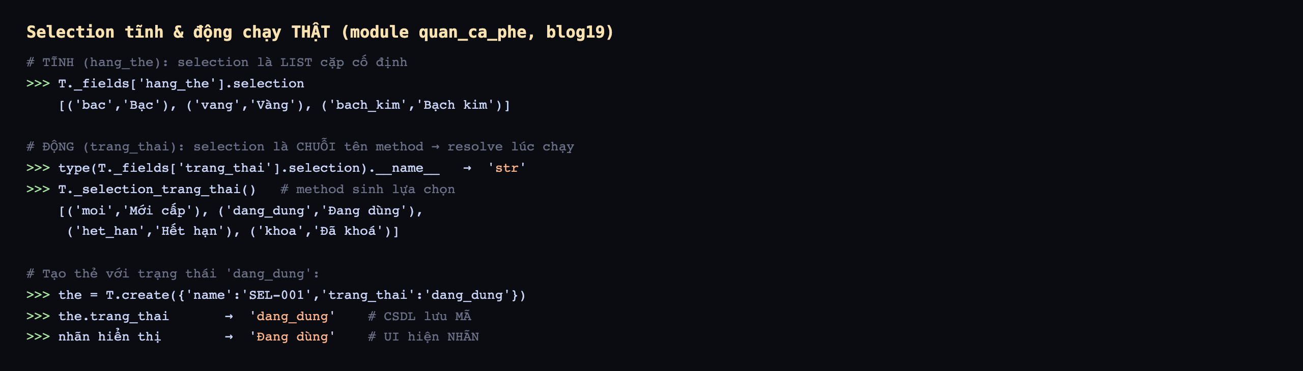 Selection tĩnh và động chạy thật trên module quan_ca_phe database blog19: tĩnh hang_the, T._fields hang_the chấm selection là list cặp cố định bac Bạc vang Vàng bach_kim Bạch kim; động trang_thai, type của T._fields trang_thai chấm selection chấm name là str tức chuỗi tên method resolve lúc chạy, T._selection_trang_thai gọi method sinh lựa chọn trả list cặp moi Mới cấp dang_dung Đang dùng het_han Hết hạn khoa Đã khoá; tạo thẻ với trạng thái dang_dung, the bằng T.create name SEL-001 trang_thai dang_dung, the.trang_thai trả dang_dung là cơ sở dữ liệu lưu mã, nhãn hiển thị trả Đang dùng là giao diện hiện nhãn