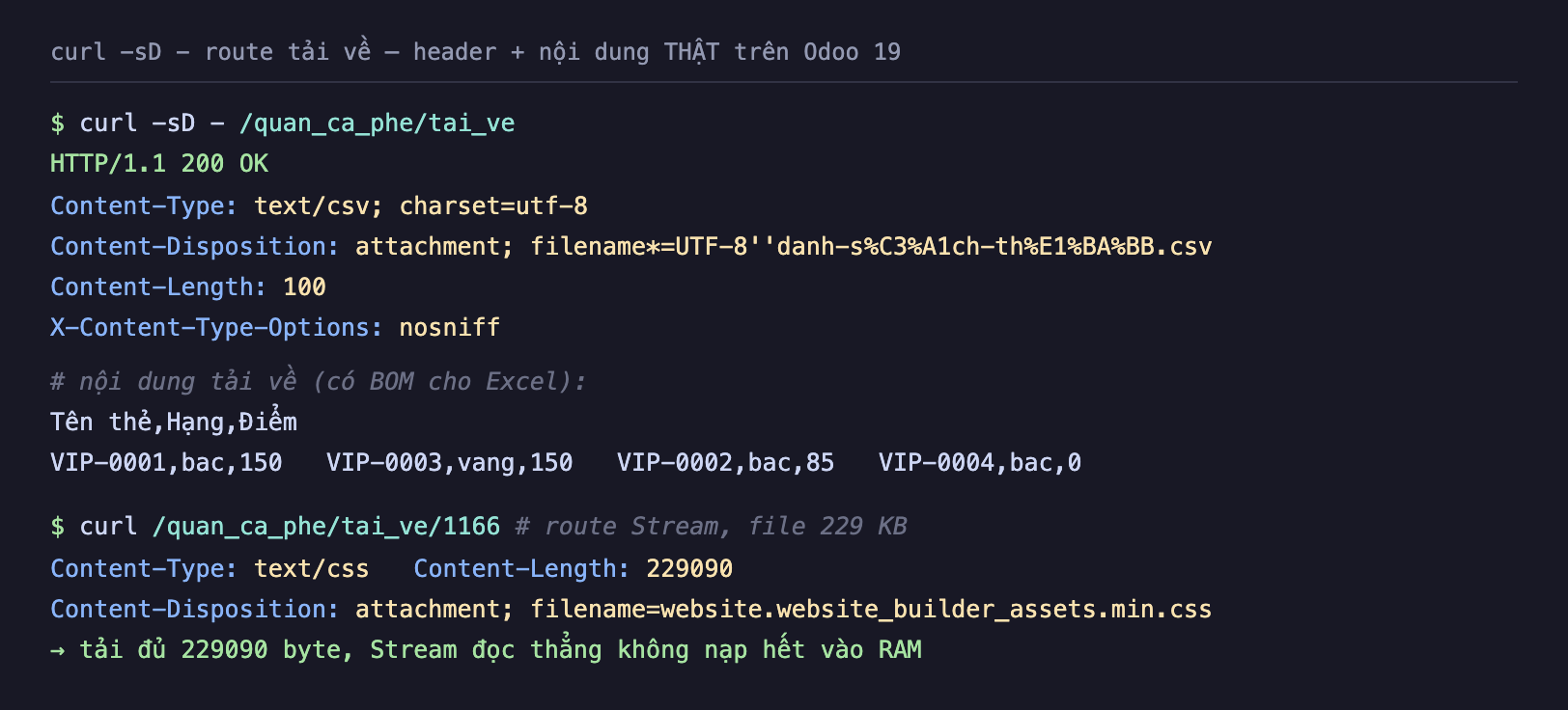 Ảnh chụp terminal nền tối curl gạch s D gạch route tải về header và nội dung thật trên Odoo 19. Lệnh curl quan_ca_phe tai_ve trả về HTTP 200 OK, Content-Type text csv charset utf-8, Content-Disposition attachment filename sao bằng UTF-8 hai nháy danh gạch s phần trăm C3 phần trăm A1ch gạch th phần trăm E1 phần trăm BA phần trăm BB chấm csv, Content-Length 100, X-Content-Type-Options nosniff. Nội dung tải về có BOM cho Excel gồm dòng Tên thẻ Hạng Điểm và bốn dòng VIP-0001 bac 150, VIP-0003 vang 150, VIP-0002 bac 85, VIP-0004 bac 0. Lệnh thứ hai curl quan_ca_phe tai_ve 1166 route Stream file 229 KB trả về Content-Type text css Content-Length 229090 Content-Disposition attachment filename website website_builder_assets min css, tải đủ 229090 byte Stream đọc thẳng không nạp hết vào RAM