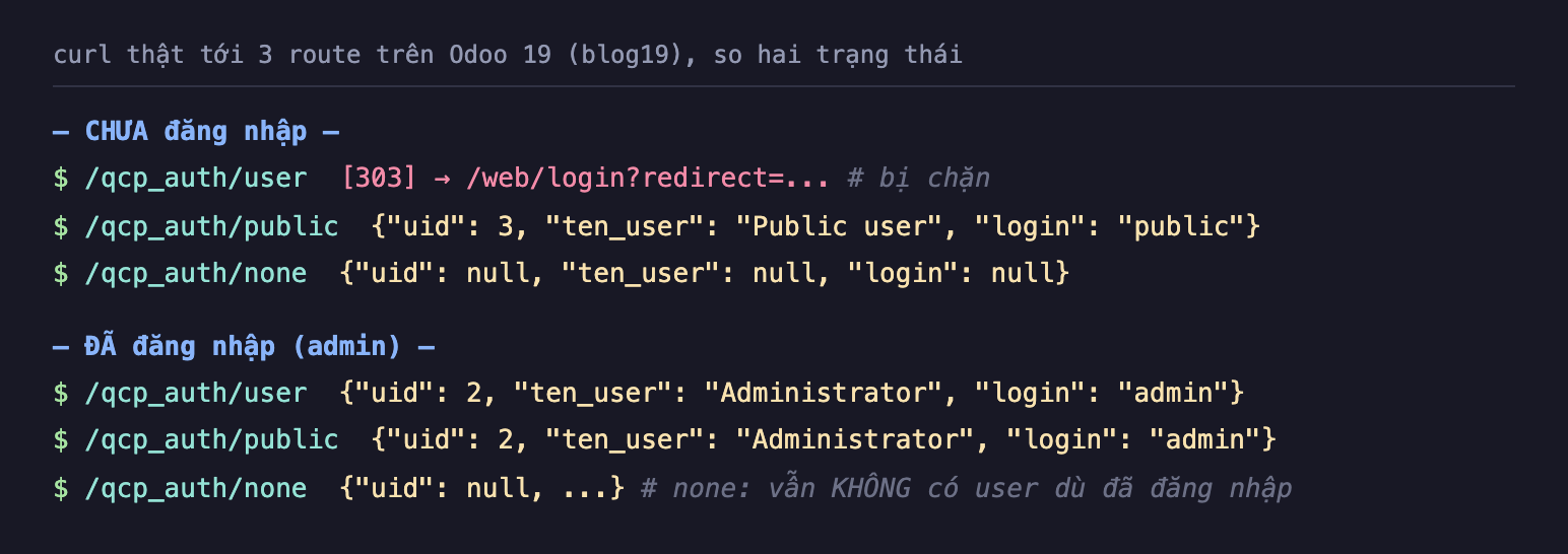 Ảnh chụp terminal nền tối curl thật tới ba route trên Odoo 19 blog19 so hai trạng thái. Khi CHƯA đăng nhập: qcp_auth user trả về mã 303 chuyển hướng tới web login bị chặn; qcp_auth public trả về uid 3 ten_user Public user login public; qcp_auth none trả về uid null ten_user null login null. Khi ĐÃ đăng nhập admin: qcp_auth user trả về uid 2 ten_user Administrator login admin; qcp_auth public cũng trả về uid 2 Administrator login admin; qcp_auth none vẫn trả về uid null dù đã đăng nhập