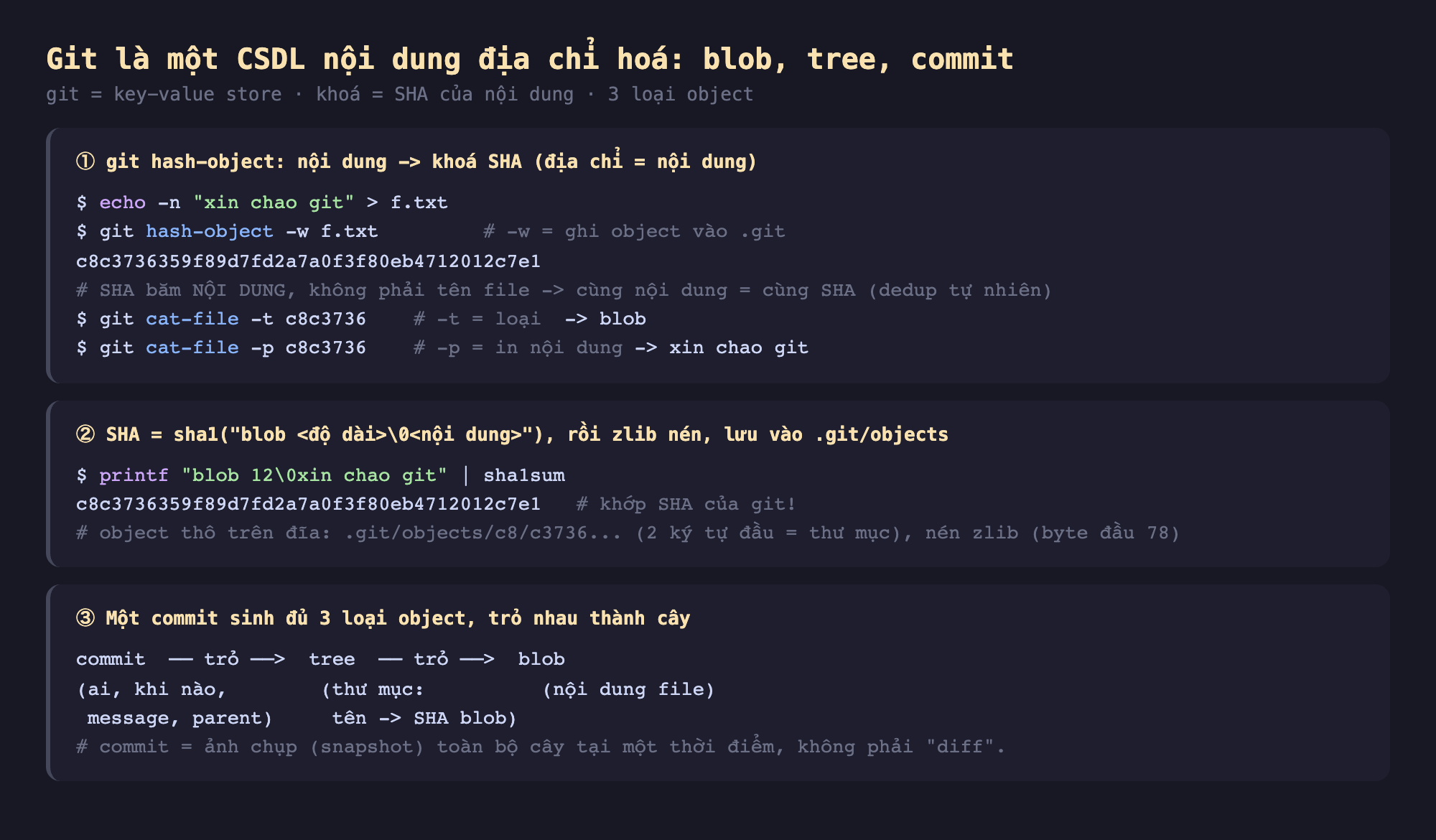 Ảnh chụp đoạn mã nền tối minh hoạ Git là CSDL nội dung địa chỉ hoá blob tree commit git key-value store khoá SHA của nội dung 3 loại object, một git hash-object nội dung tới khoá SHA địa chỉ bằng nội dung echo -n xin chao git lớn hơn f.txt git hash-object -w f.txt -w ghi object vào .git c8c3736 SHA băm nội dung không phải tên file cùng nội dung bằng cùng SHA dedup tự nhiên git cat-file -t c8c3736 loại blob git cat-file -p in nội dung xin chao git, hai SHA bằng sha1 blob độ dài null nội dung rồi zlib nén lưu vào .git objects printf blob 12 null xin chao git sha1sum c8c3736 khớp SHA của git object thô trên đĩa .git objects c8 c3736 2 ký tự đầu thư mục nén zlib byte đầu 78, ba một commit sinh đủ 3 loại object trỏ nhau thành cây commit trỏ tree trỏ blob commit ai khi nào message parent tree thư mục tên tới SHA blob blob nội dung file commit bằng ảnh chụp snapshot toàn bộ cây tại một thời điểm không phải diff