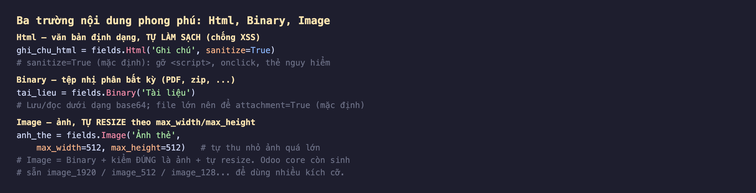 Ba trường nội dung phong phú Html Binary Image trong Odoo 19: Html là văn bản định dạng tự làm sạch chống XSS, ghi_chu_html bằng fields.Html Ghi chú với sanitize True mặc định gỡ thẻ script onclick thẻ nguy hiểm; Binary là tệp nhị phân bất kỳ PDF zip, tai_lieu bằng fields.Binary Tài liệu lưu đọc dưới dạng base64 file lớn nên để attachment True mặc định; Image là ảnh tự resize theo max_width max_height, anh_the bằng fields.Image Ảnh thẻ với max_width 512 max_height 512 tự thu nhỏ ảnh quá lớn, Image bằng Binary cộng kiểm đúng là ảnh cộng tự resize, Odoo core còn sinh sẵn image_1920 image_512 image_128 để dùng nhiều kích cỡ