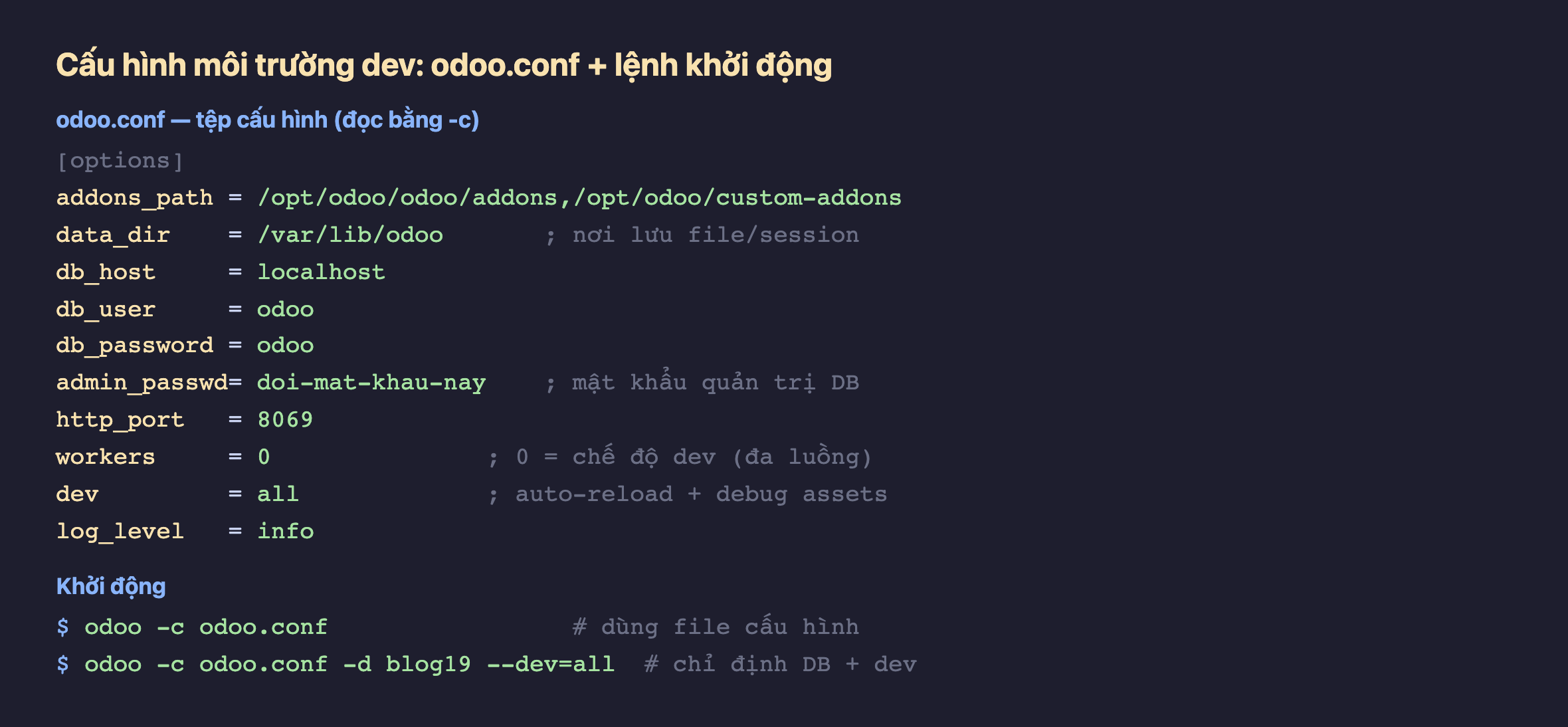Tệp odoo.conf mẫu với addons_path, data_dir, db_host/user/password, admin_passwd, http_port 8069, workers 0, dev all, log_level info; và lệnh khởi động odoo -c odoo.conf -d blog19 --dev=all