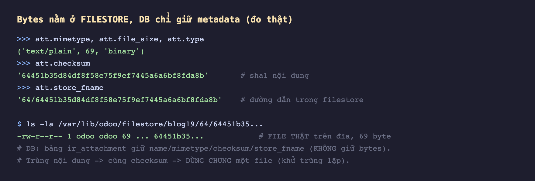 Ảnh chụp phiên odoo shell nền tối, in att mimetype file_size type trả về tuple text plain 69 binary, in att checksum trả về chuỗi sha1 64451b35 và chú thích sha1 nội dung, in att store_fname trả về 64 gạch chéo 64451b35 chú thích đường dẫn trong filestore, rồi lệnh ls filestore blog19 64 cho thấy file thật 69 byte trên đĩa với chú thích file thật trên đĩa 69 byte, và chú thích DB bảng ir_attachment giữ name mimetype checksum store_fname không giữ bytes, trùng nội dung thì cùng checksum nên dùng chung một file khử trùng lặp