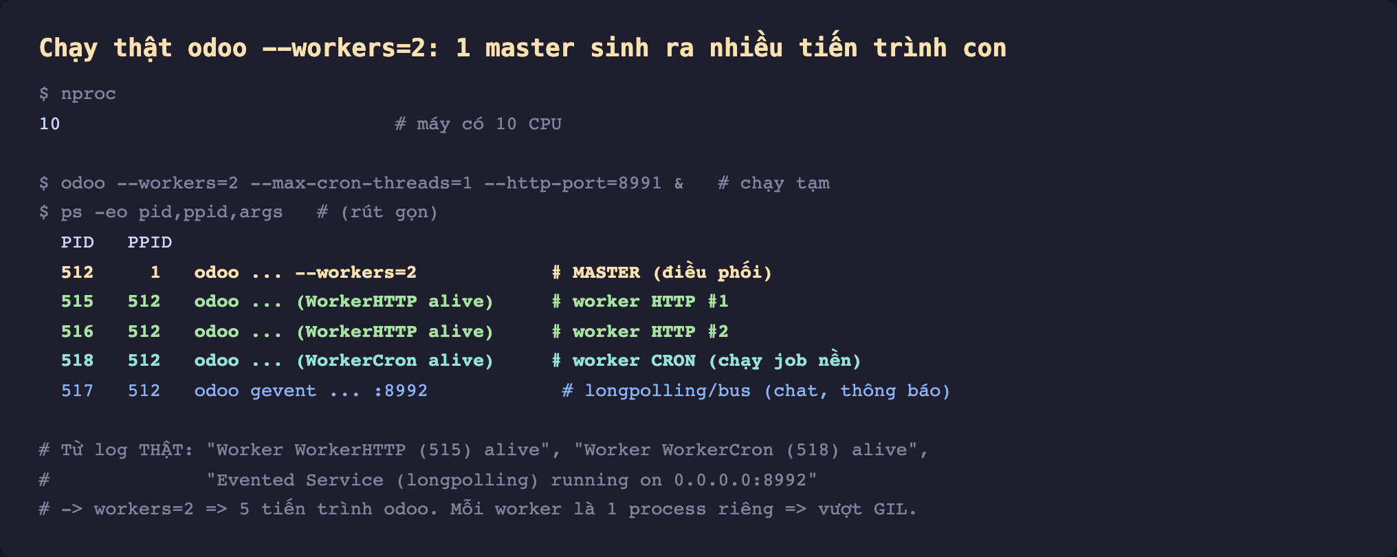 Ảnh chụp terminal nền tối chạy thật odoo với workers 2 một master sinh ra nhiều tiến trình con. Lệnh nproc trả về 10 máy có 10 CPU. Lệnh odoo workers 2 max-cron-threads 1 http-port 8991 chạy tạm. Lệnh ps eo pid ppid args rút gọn. Bảng PID PPID: 512 ppid 1 odoo workers 2 nhãn MASTER điều phối; 515 ppid 512 odoo WorkerHTTP alive nhãn worker HTTP một; 516 ppid 512 odoo WorkerHTTP alive nhãn worker HTTP hai; 518 ppid 512 odoo WorkerCron alive nhãn worker CRON chạy job nền; 517 ppid 512 odoo gevent cổng 8992 nhãn longpolling bus chat thông báo. Chú thích từ log thật Worker WorkerHTTP 515 alive, Worker WorkerCron 518 alive, Evented Service longpolling running on 0.0.0.0 8992. Kết luận workers 2 thành 5 tiến trình odoo mỗi worker là 1 process riêng nên vượt GIL