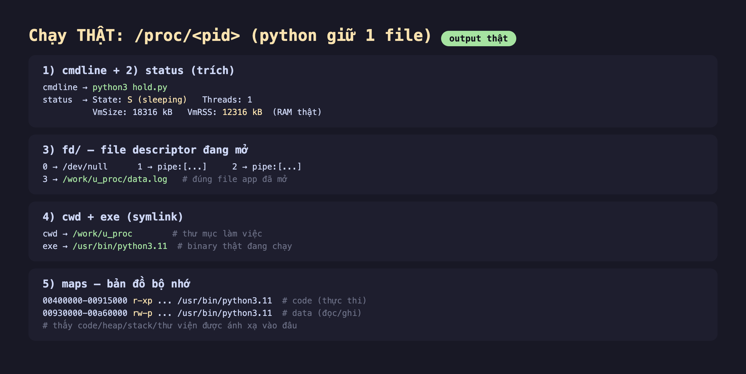 Ảnh chụp bảng kết quả chạy thật proc pid python giữ 1 file output thật, một cmdline cộng status trích cmdline ra python3 hold.py status ra State S sleeping Threads 1 VmSize 18316 kB VmRSS 12316 kB RAM thật, ba fd file descriptor đang mở 0 ra dev null 1 ra pipe 2 ra pipe 3 ra work u_proc data.log đúng file app đã mở, bốn cwd cộng exe symlink cwd ra work u_proc thư mục làm việc exe ra usr bin python3.11 binary thật đang chạy, năm maps bản đồ bộ nhớ 00400000-00915000 r-xp usr bin python3.11 code thực thi 00930000-00a60000 rw-p usr bin python3.11 data đọc ghi thấy code heap stack thư viện được ánh xạ vào đâu