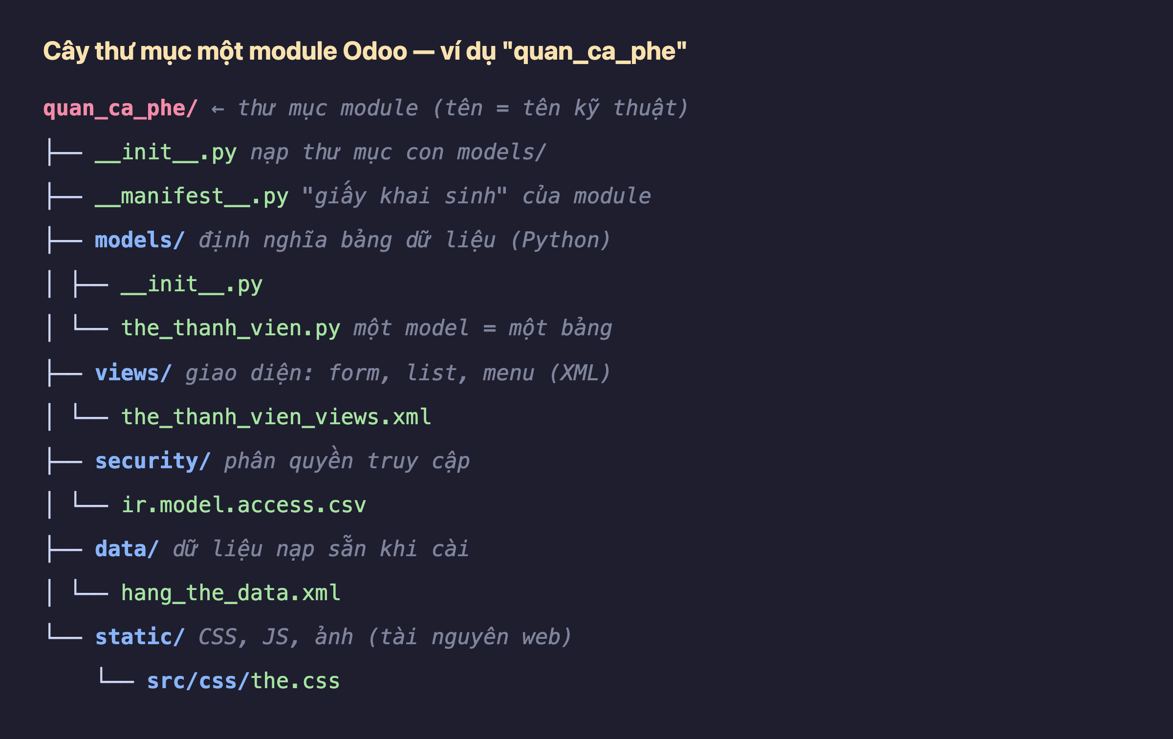 Cây thư mục module Odoo quan_ca_phe: gốc quan_ca_phe chứa init.py, manifest.py, và các thư mục models (the_thanh_vien.py), views (the_thanh_vien_views.xml), security (ir.model.access.csv), data (hang_the_data.xml), static (src/css/the.css), mỗi mục kèm chú thích vai trò