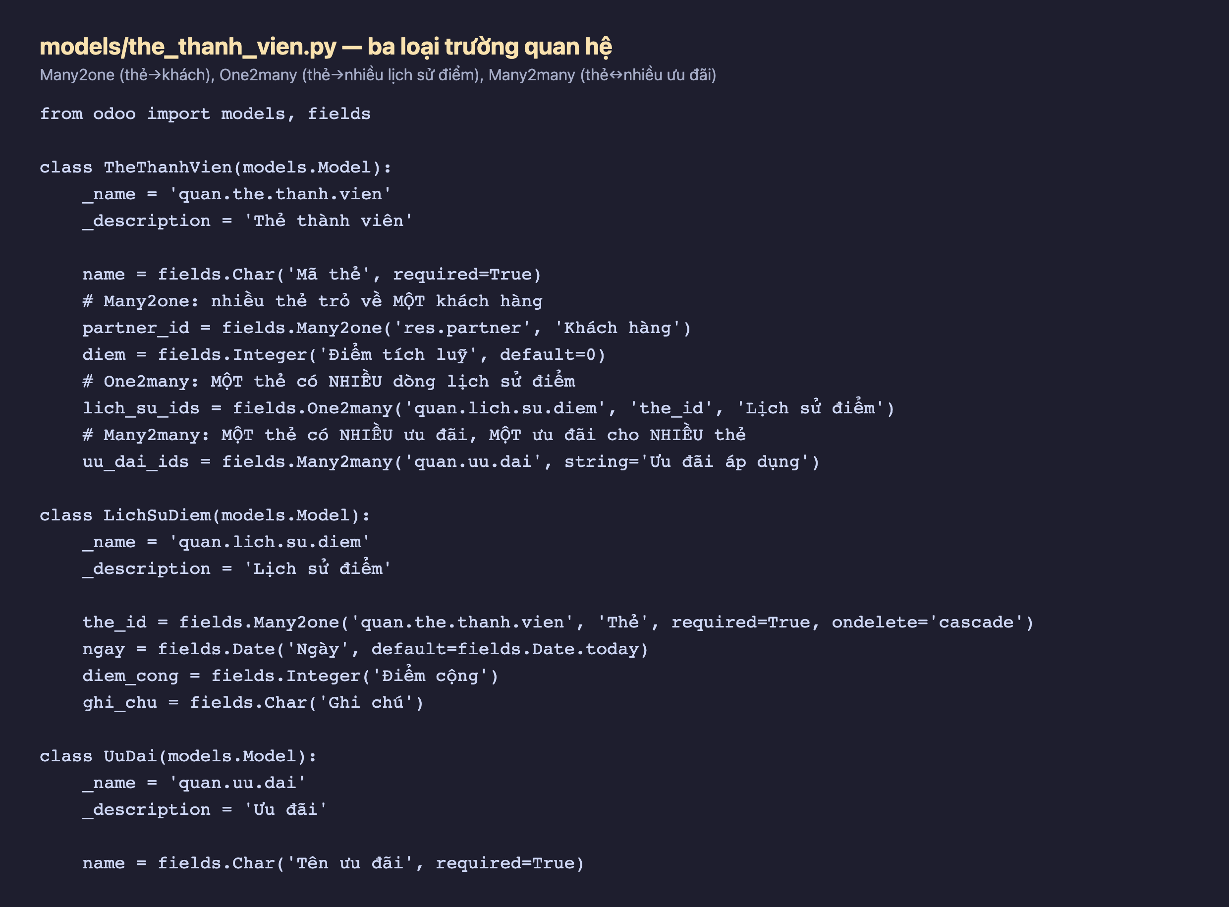 Mã nguồn Python định nghĩa ba loại trường quan hệ: partner_id là Many2one tới res.partner, lich_su_ids là One2many tới quan.lich.su.diem qua the_id, uu_dai_ids là Many2many tới quan.uu.dai; kèm model con LichSuDiem có the_id Many2one ondelete cascade và model UuDai