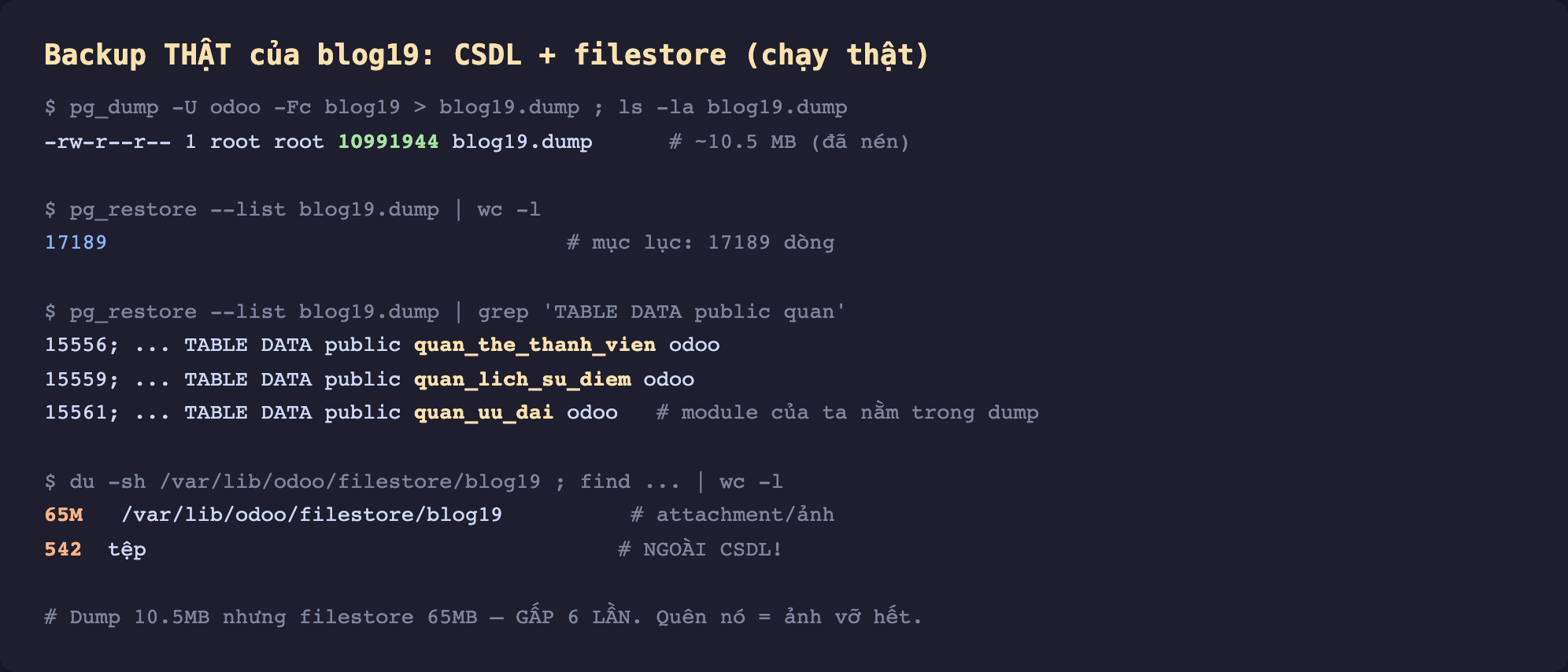 Ảnh chụp terminal nền tối backup thật của blog19 gồm CSDL và filestore. Lệnh pg_dump U odoo Fc blog19 ra blog19.dump rồi ls la. Kết quả file blog19.dump 10991944 byte chú thích khoảng 10.5 MB đã nén. Lệnh pg_restore list blog19.dump đếm dòng cho 17189 chú thích mục lục 17189 dòng. Lệnh pg_restore list grep TABLE DATA public quan cho 15556 TABLE DATA public quan_the_thanh_vien odoo, 15559 quan_lich_su_diem, 15561 quan_uu_dai chú thích module của ta nằm trong dump. Lệnh du sh var lib odoo filestore blog19 cho 65M chú thích attachment ảnh và 542 tệp chú thích ngoài CSDL. Chú thích dump 10.5MB nhưng filestore 65MB gấp 6 lần quên nó là ảnh vỡ hết