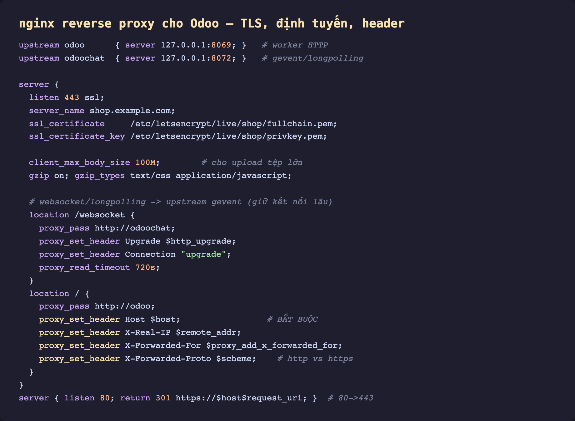 Ảnh chụp cấu hình nginx reverse proxy cho Odoo nền tối. upstream odoo server 127.0.0.1 8069 chú thích worker HTTP. upstream odoochat server 127.0.0.1 8072 chú thích gevent longpolling. Khối server listen 443 ssl, server_name shop.example.com, ssl_certificate fullchain.pem, ssl_certificate_key privkey.pem. client_max_body_size 100M chú thích cho upload tệp lớn. gzip on gzip_types text css application javascript. location websocket proxy_pass http odoochat, proxy_set_header Upgrade http_upgrade, proxy_set_header Connection upgrade, proxy_read_timeout 720s chú thích giữ kết nối lâu. location gạch chéo proxy_pass http odoo, proxy_set_header Host host bắt buộc, proxy_set_header X-Real-IP remote_addr, proxy_set_header X-Forwarded-For proxy_add_x_forwarded_for, proxy_set_header X-Forwarded-Proto scheme chú thích http vs https. Khối server listen 80 return 301 https chú thích 80 sang 443