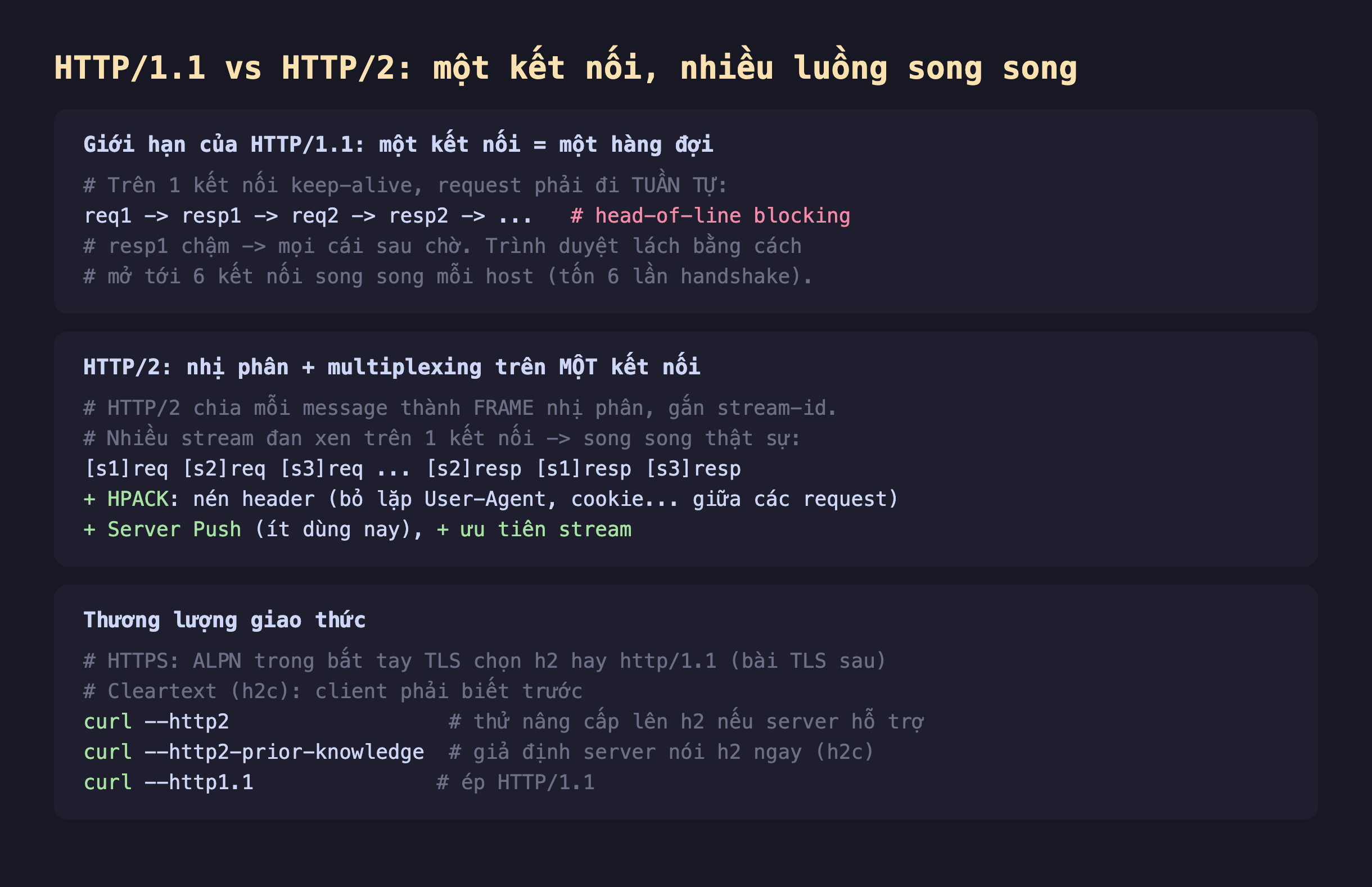Ảnh chụp đoạn mã nền tối giải thích HTTP/1.1 vs HTTP/2 một kết nối nhiều luồng song song, giới hạn của HTTP/1.1 một kết nối là một hàng đợi trên một kết nối keep-alive request phải đi tuần tự req1 resp1 req2 resp2 head-of-line blocking resp1 chậm mọi cái sau chờ trình duyệt lách bằng cách mở tới 6 kết nối song song mỗi host tốn 6 lần handshake, HTTP/2 nhị phân cộng multiplexing trên một kết nối chia mỗi message thành frame nhị phân gắn stream-id nhiều stream đan xen trên một kết nối song song thật sự cộng HPACK nén header bỏ lặp User-Agent cookie cộng server push cộng ưu tiên stream, thương lượng giao thức HTTPS ALPN trong bắt tay TLS chọn h2 hay http 1.1 cleartext h2c client phải biết trước curl --http2 thử nâng cấp curl --http2-prior-knowledge giả định server nói h2 ngay curl --http1.1 ép HTTP 1.1