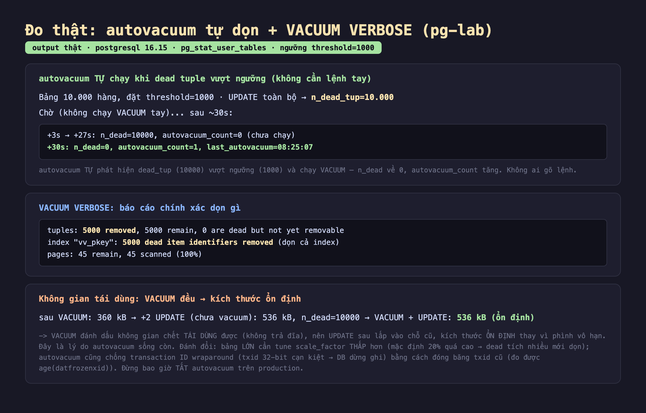 Bảng kết quả đo thật autovacuum tự dọn cộng VACUUM VERBOSE trên pg-lab postgresql 16.15 pg_stat_user_tables ngưỡng threshold 1000: autovacuum tự chạy khi dead tuple vượt ngưỡng không cần lệnh tay, bảng 10.000 hàng đặt threshold 1000 UPDATE toàn bộ n_dead_tup 10.000 chờ không chạy VACUUM tay sau khoảng 30 giây, cộng 3s tới cộng 27s n_dead 10000 autovacuum_count 0 chưa chạy, cộng 30s n_dead 0 autovacuum_count 1 last_autovacuum 08:25:07; VACUUM VERBOSE báo cáo chính xác dọn gì tuples 5000 removed 5000 remain 0 are dead but not yet removable index vv_pkey 5000 dead item identifiers removed dọn cả index pages 45 remain 45 scanned 100 phần trăm; không gian tái dùng VACUUM đều kích thước ổn định sau VACUUM 360 kB cộng 2 UPDATE chưa vacuum 536 kB n_dead 10000 VACUUM cộng UPDATE 536 kB ổn định. Badge output thật màu xanh